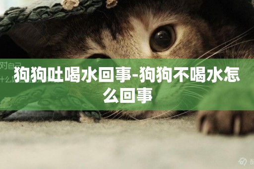 狗狗吐喝水回事-狗狗不喝水怎么回事