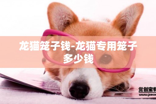 龍貓籠子錢-龍貓專用籠子多少錢