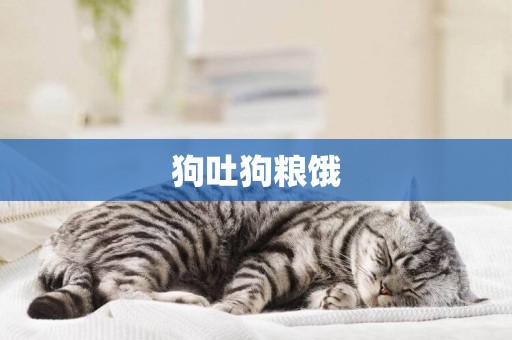 狗吐狗糧餓