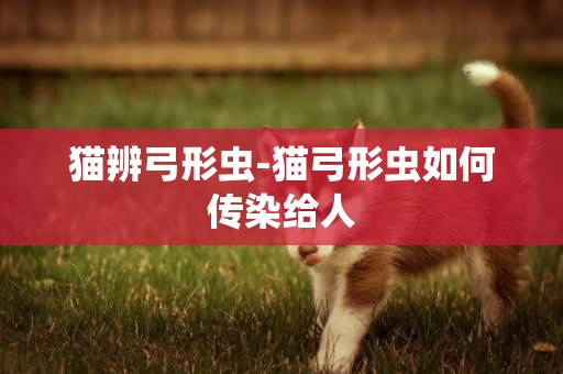 貓辨弓形蟲-貓弓形蟲如何傳染給人