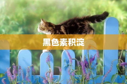 黑色素積淀