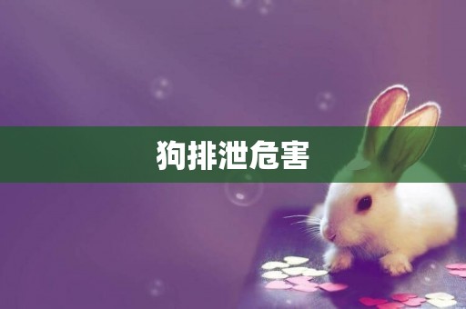 狗排泄危害