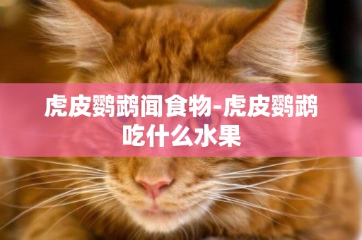 虎皮鸚鵡聞食物-虎皮鸚鵡吃什么水果