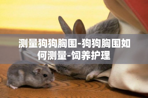 測量狗狗胸圍-狗狗胸圍如何測量-飼養護理