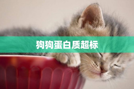 狗狗蛋白質超標