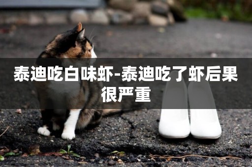 泰迪吃白味蝦-泰迪吃了蝦后果很嚴重