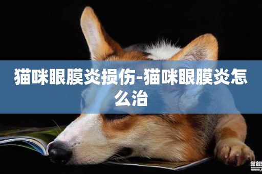 貓咪眼膜炎損傷-貓咪眼膜炎怎么治