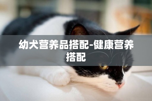 幼犬營養品搭配-健康營養搭配