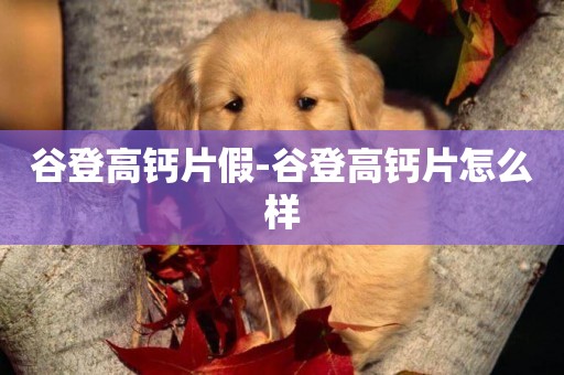 谷登高鈣片假-谷登高鈣片怎么樣