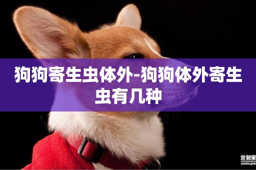 狗狗寄生蟲體外-狗狗體外寄生蟲有幾種