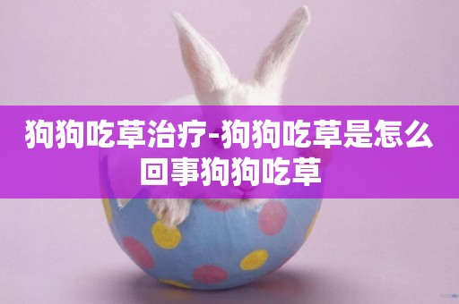 狗狗吃草治療-狗狗吃草是怎么回事狗狗吃草