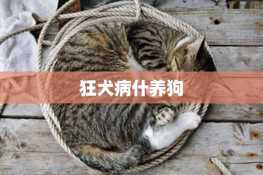 狂犬病什養狗