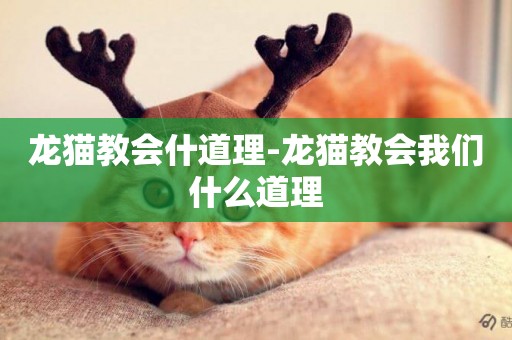 龍貓教會什道理-龍貓教會我們什么道理