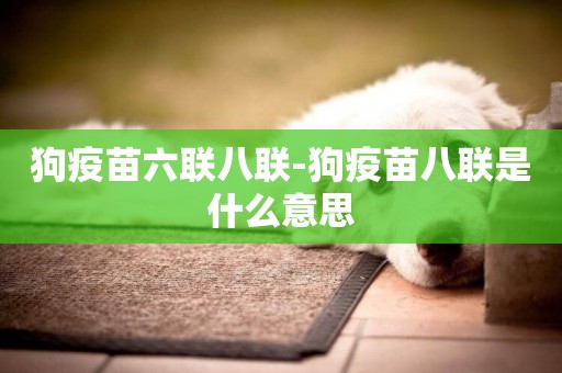 狗疫苗六聯八聯-狗疫苗八聯是什么意思