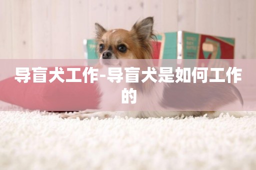 導盲犬工作-導盲犬是如何工作的