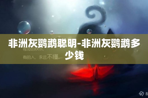 非洲灰鸚鵡聰明-非洲灰鸚鵡多少錢
