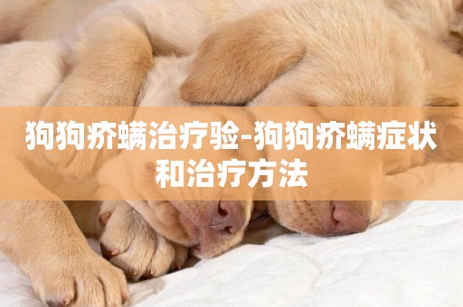 狗狗疥螨治療驗-狗狗疥螨癥狀和治療方法