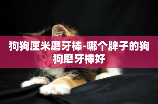 狗狗厘米磨牙棒-哪個牌子的狗狗磨牙棒好