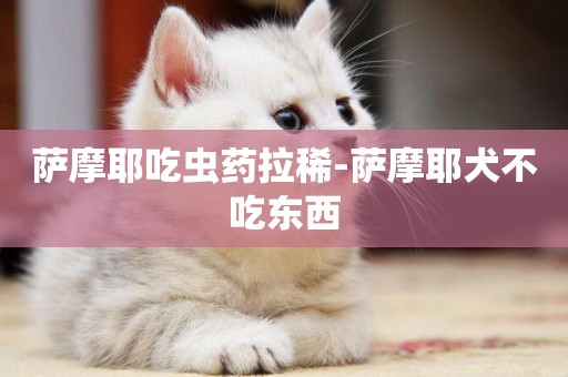 薩摩耶吃蟲藥拉稀-薩摩耶犬不吃東西