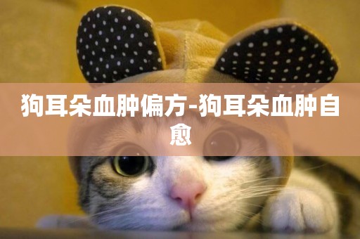 狗耳朵血腫偏方-狗耳朵血腫自愈