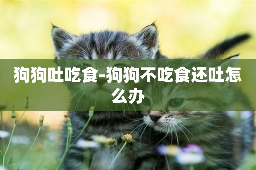 狗狗吐吃食-狗狗不吃食還吐怎么辦