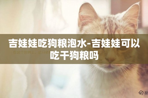 吉娃娃吃狗糧泡水-吉娃娃可以吃干狗糧嗎