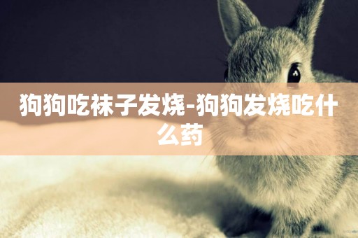 狗狗吃襪子發燒-狗狗發燒吃什么藥
