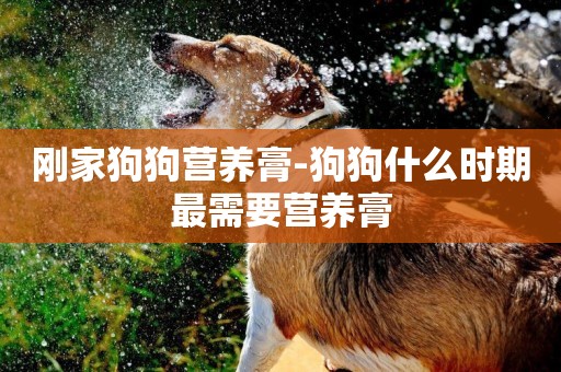 剛家狗狗營養膏-狗狗什么時期最需要營養膏