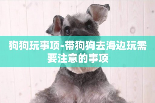 狗狗玩事項-帶狗狗去海邊玩需要注意的事項