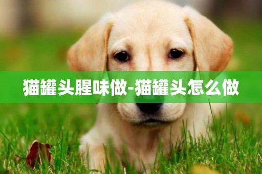 貓罐頭腥味做-貓罐頭怎么做