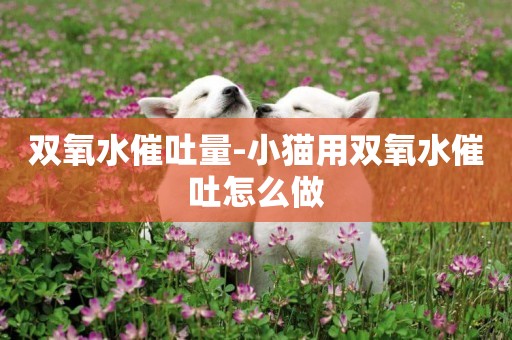 雙氧水催吐量-小貓用雙氧水催吐怎么做