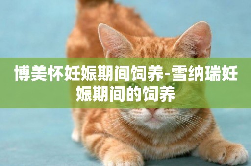 博美懷妊娠期間飼養-雪納瑞妊娠期間的飼養