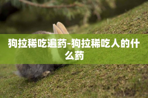 狗拉稀吃遍藥-狗拉稀吃人的什么藥