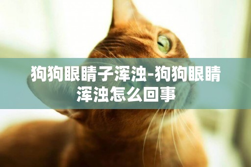 狗狗眼睛子渾濁-狗狗眼睛渾濁怎么回事