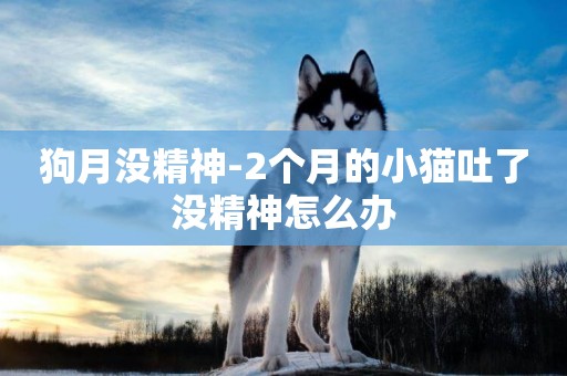 狗月沒精神-2個月的小貓吐了沒精神怎么辦