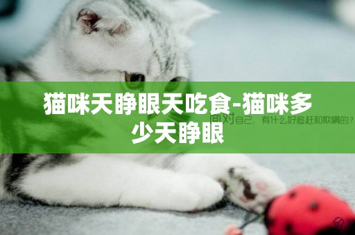 貓咪天睜眼天吃食-貓咪多少天睜眼