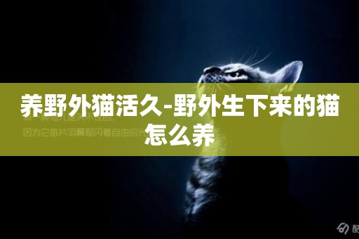 養野外貓活久-野外生下來的貓怎么養