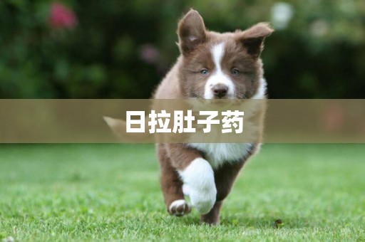 日拉肚子藥