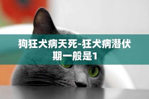 狗狂犬病天死-狂犬病潛伏期一般是1