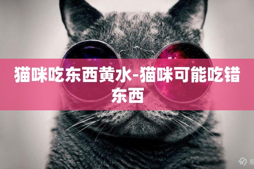 貓咪吃東西黃水-貓咪可能吃錯東西