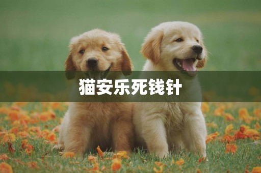 貓安樂死錢針