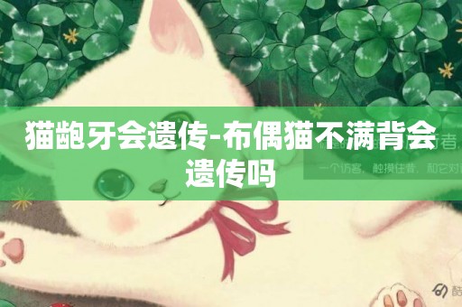 貓齙牙會遺傳-布偶貓不滿背會遺傳嗎