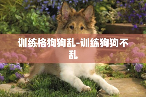 訓練格狗狗亂-訓練狗狗不亂