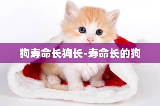 狗壽命長狗長-壽命長的狗