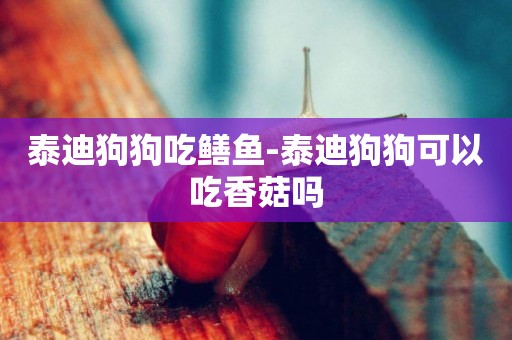 泰迪狗狗吃鱔魚-泰迪狗狗可以吃香菇嗎
