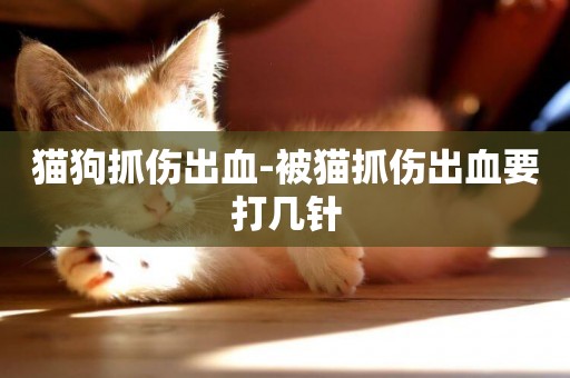 貓狗抓傷出血-被貓抓傷出血要打幾針