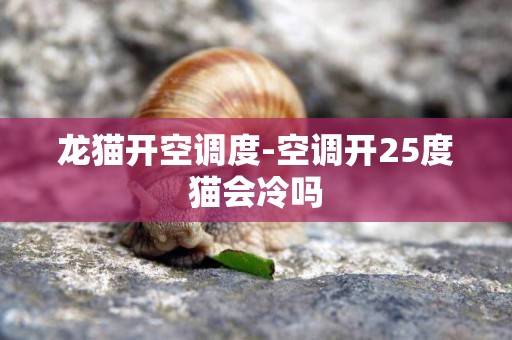 龍貓開空調度-空調開25度貓會冷嗎