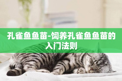 孔雀魚魚苗-飼養孔雀魚魚苗的入門法則