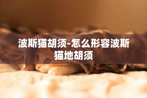 波斯貓胡須-怎么形容波斯貓地胡須