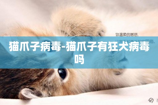 貓爪子病毒-貓爪子有狂犬病毒嗎
